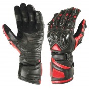 Motorbike Gloves (15)